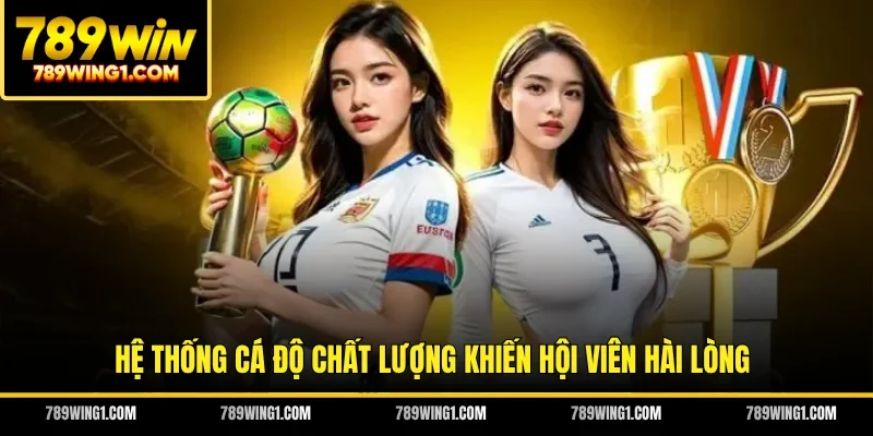 Hệ thống cá độ chất lượng khiến hội viên hài lòng